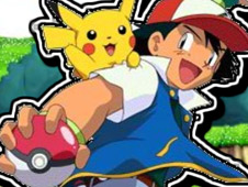 Pokemon Catch Journey