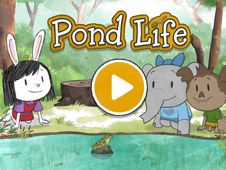 Pond Life
