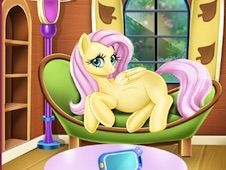 Pregnant Fluttershy Check Up