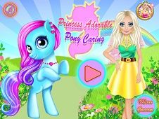 Princess Adorable Pony Care