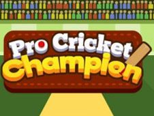 Pro Cricket Champion