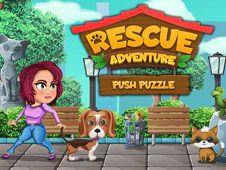 Push Puzzle Rescue Adventure