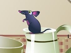 Rat and Cheese Online