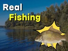 Real Fishing Online