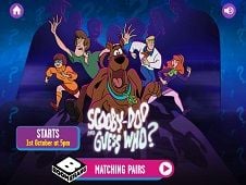 Scooby Doo and Guess Who Matching Pairs
