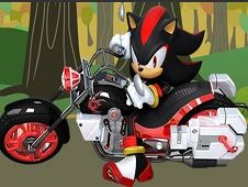 Shadow the Hedgehog Bike