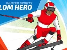 Slalom Hero Online