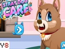 Stray Dog Care Online