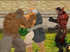 Sumo Fury