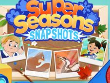 Super Seasons Snapshots