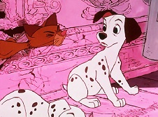 The Dalmatian and Rosa