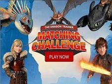 The Dragon Trainer Matching Challenge