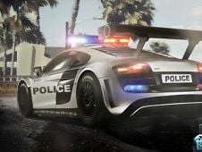 Tropical Police Parking Online