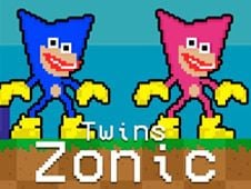 Twins Zonic