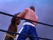 Ultimate Boxing
