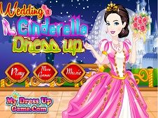 Wedding Cinderella Dress Up