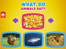 What do animals eat? Online
