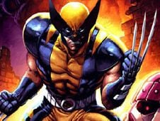 Wolverine Differences Online